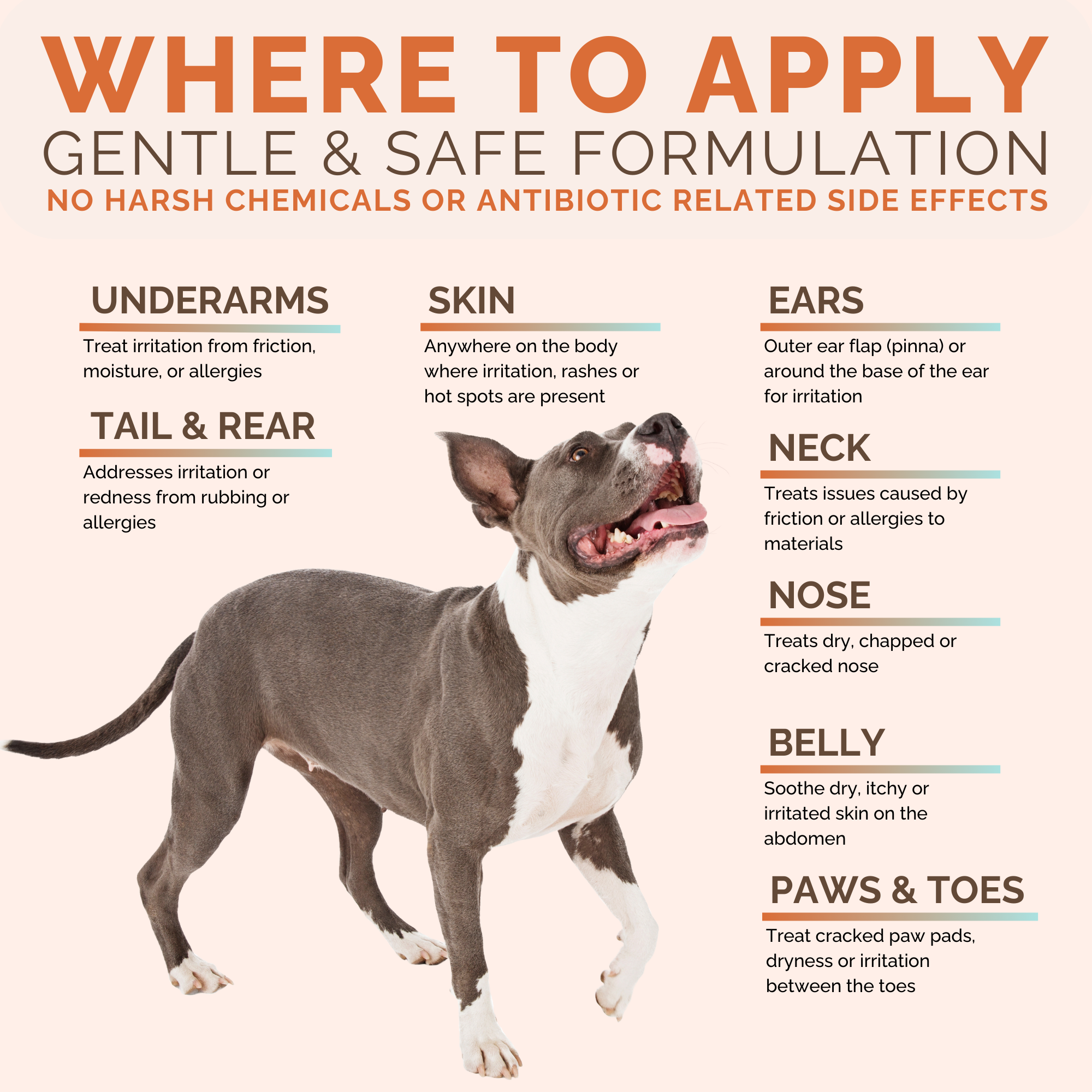 ClearFur - Wholesale Pet Paw Protection - Hot Spot & Itch Relief Cream for Dogs & Cats 2oz12