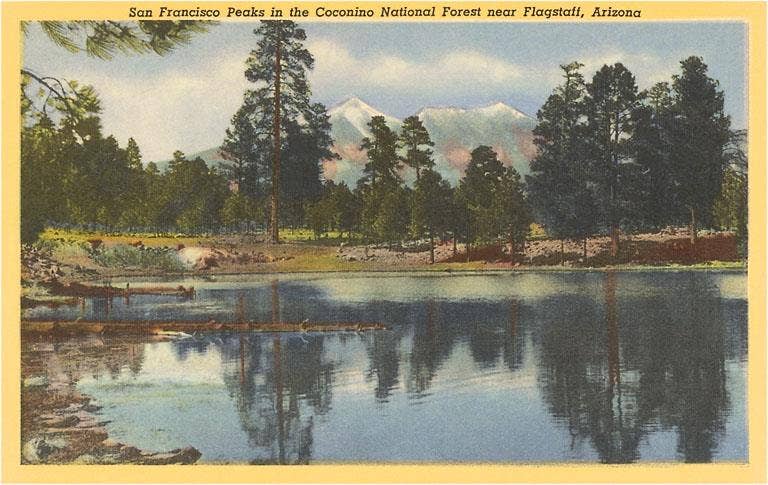 Found Image Press - Wholesale Sticker - Sticker AZ-73 Coconino National Forest0