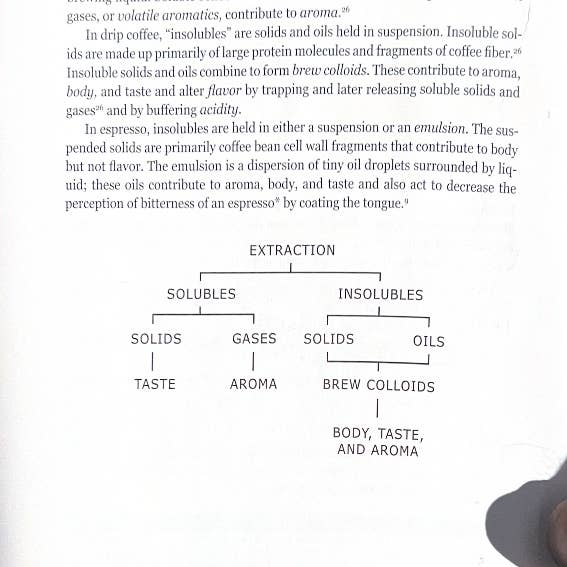 camicia per la vendita all'ingrosso da parte di Bad Seed Coffee and Supply