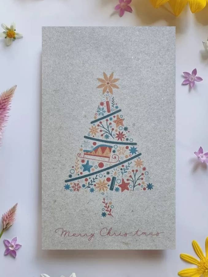 Christmas Tree - Wildflower Seeds for wholesale by Bee Kind Australia