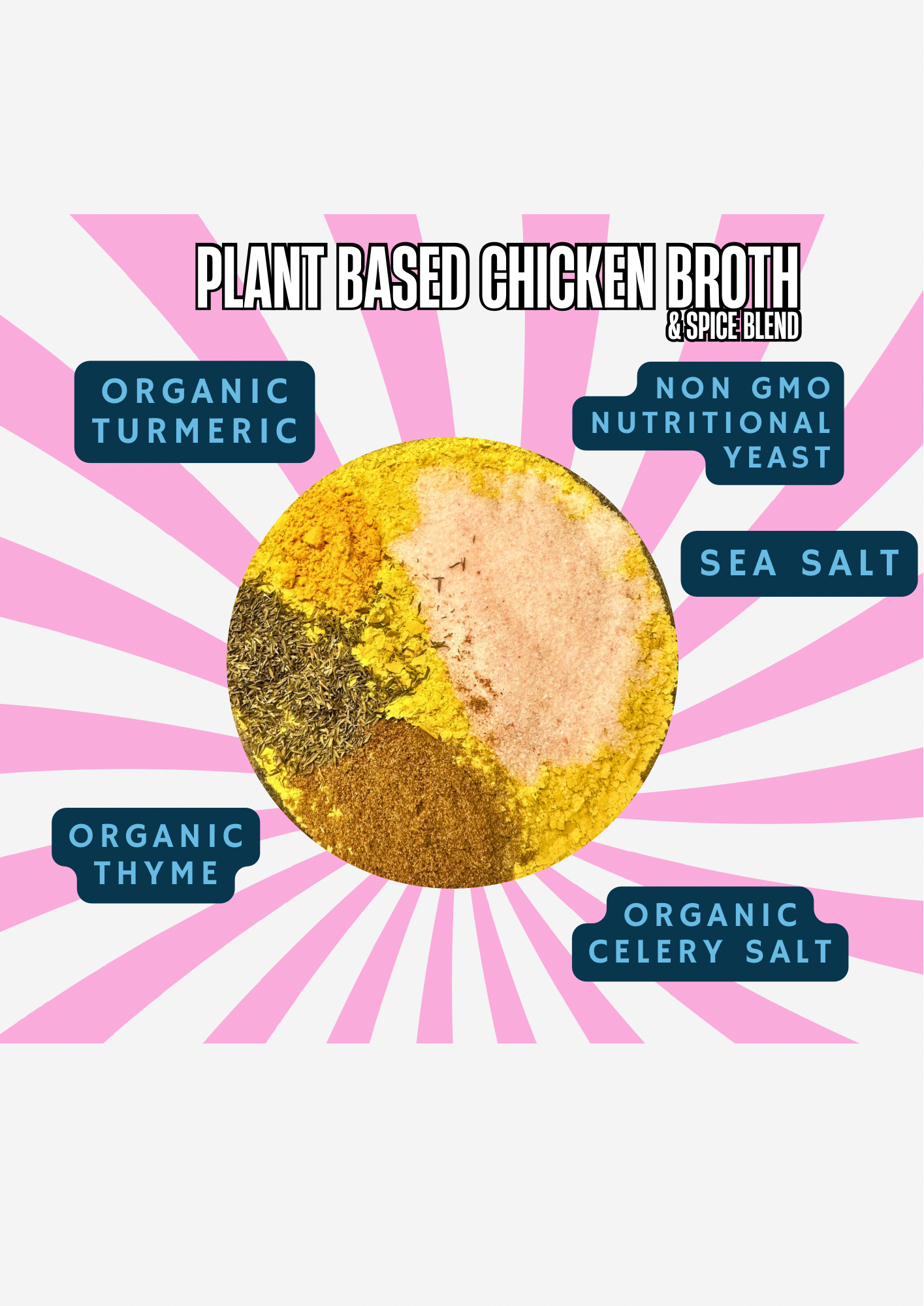 Eat Vegan Art - Wholesale Soup - Plant Based/Vegan Chicken Broth Dry Mix1