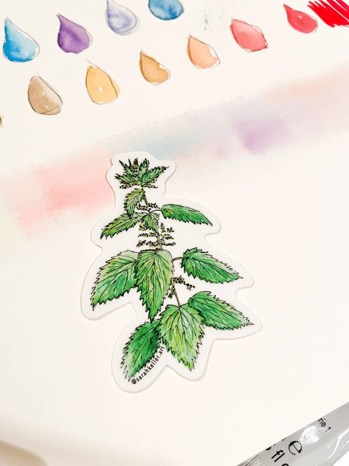 Stinging Nettle PNW Botanical Art Sticker for wholesale by Sarah Keller Art
