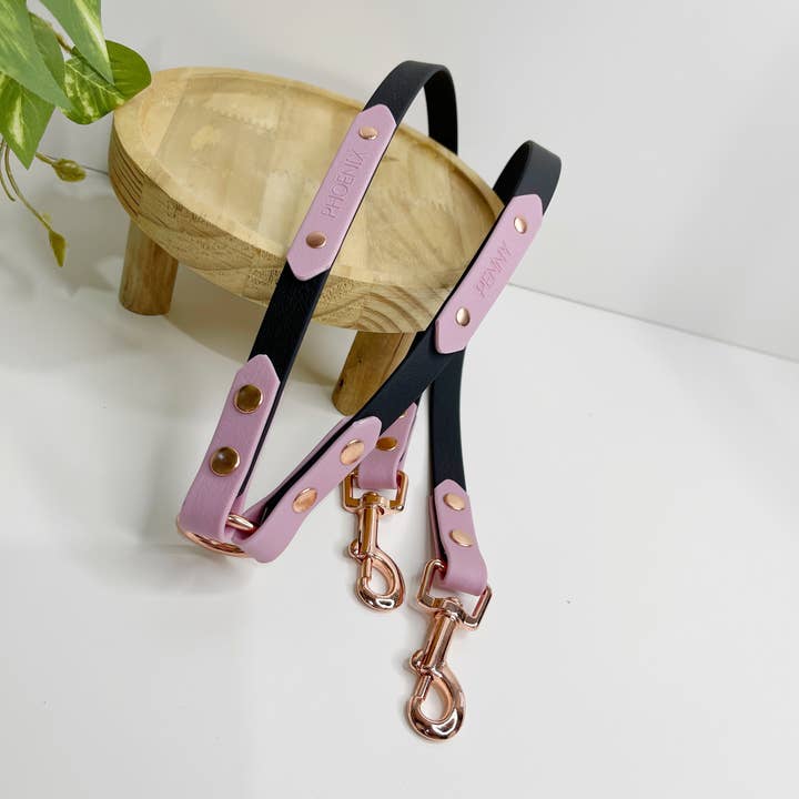 My Pawchella - Venta al por mayor Correa - Perros - Biothano/divisor de correas de colores9