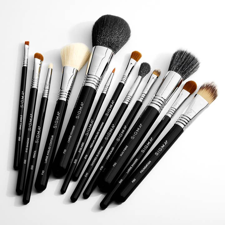 Sigma Beauty - Wholesale Makeup Brush Set - ESSENTIAL BRUSH SET3