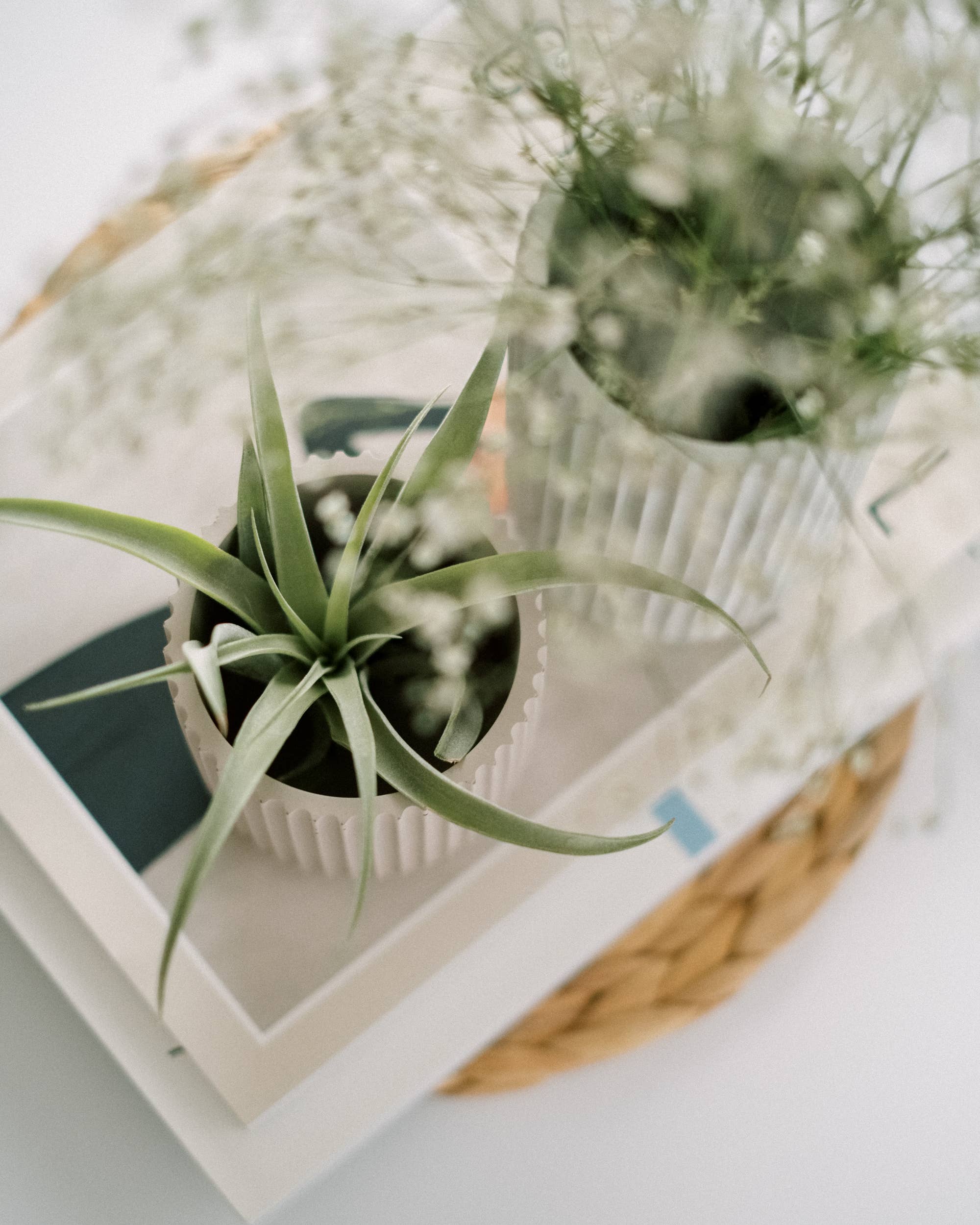 Concrete Days - Wholesale Vase - Short Ridged Vase3