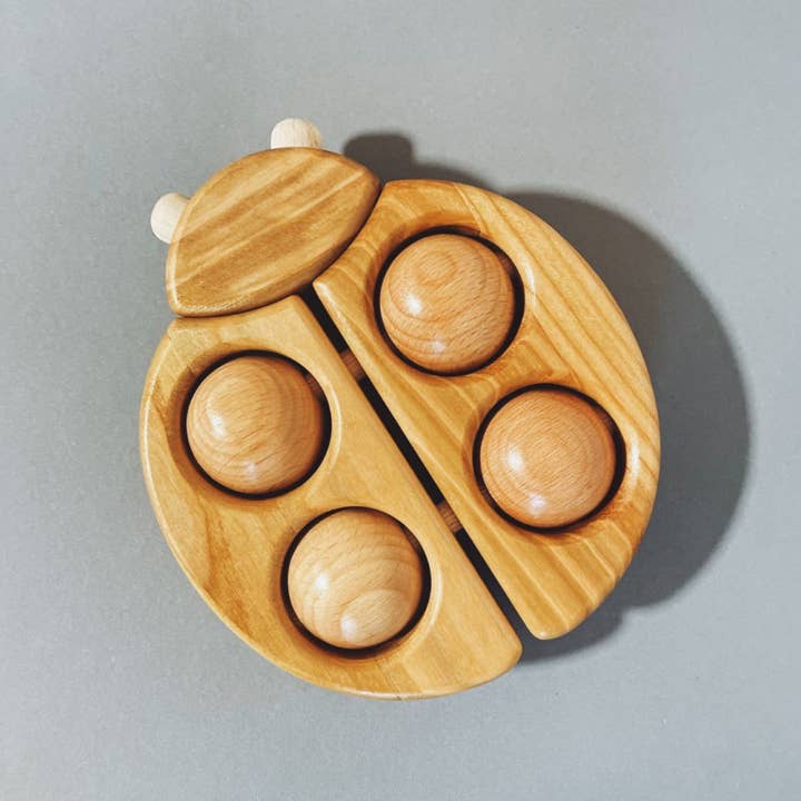 BAJO WOODEN TOYS - Wholesale Wood Toy - Kids - Wooden Ladybug with Wheels1