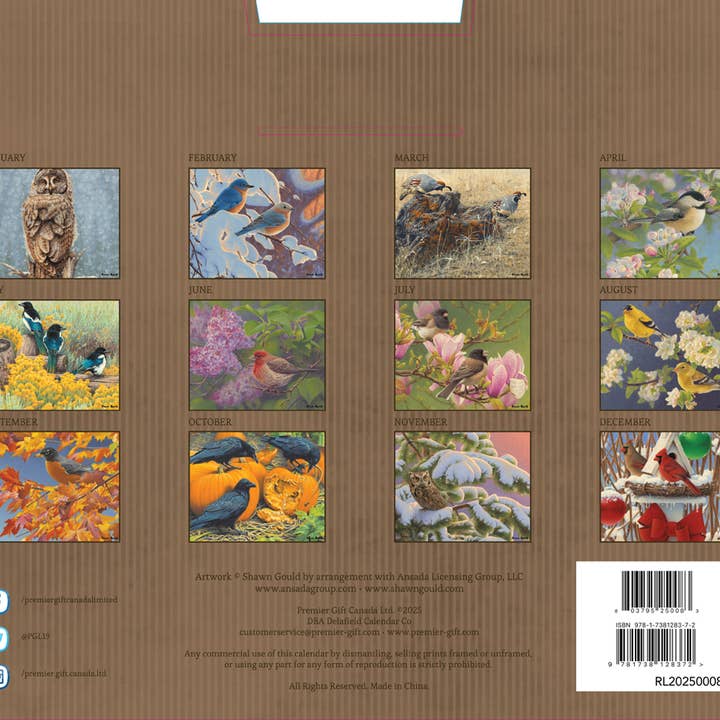 DELAFIELD CALENDARS by Robert Lang Co. - Wholesale Calendar - CAL-2025 BIRDS IN NATURE1