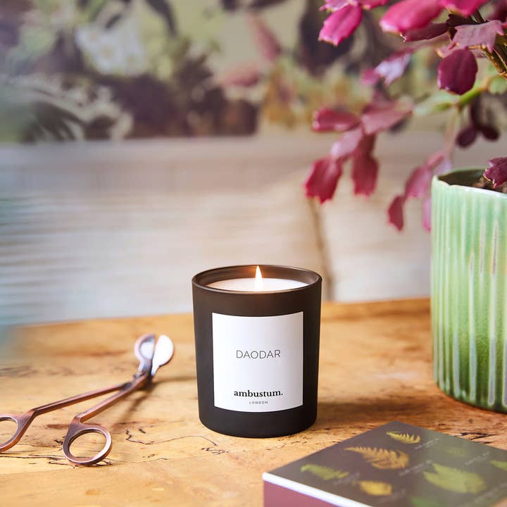 ambustum - Wholesale Jar/Filled Candle - Daodar Candle1