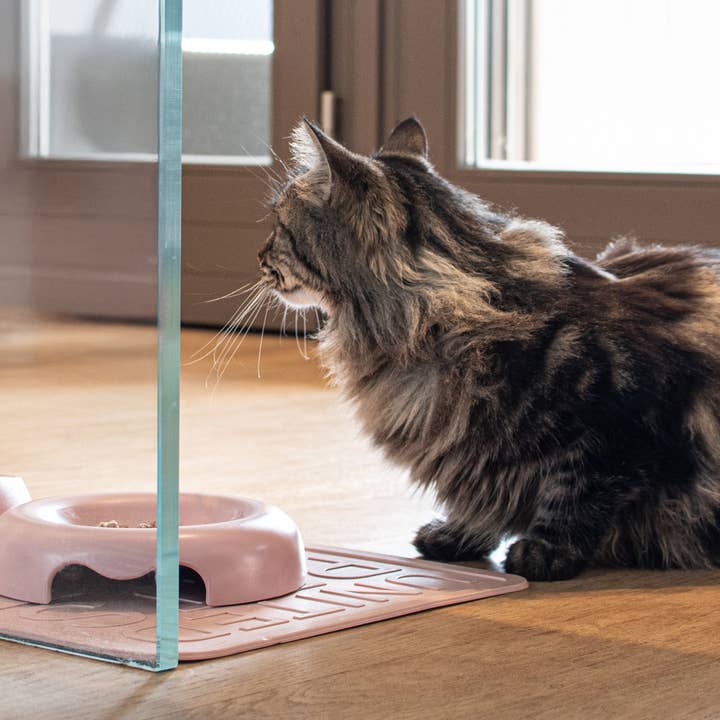 United Pets - Wholesale Pet bowl – Cat/dog - Designer bowl with low edges for cats4