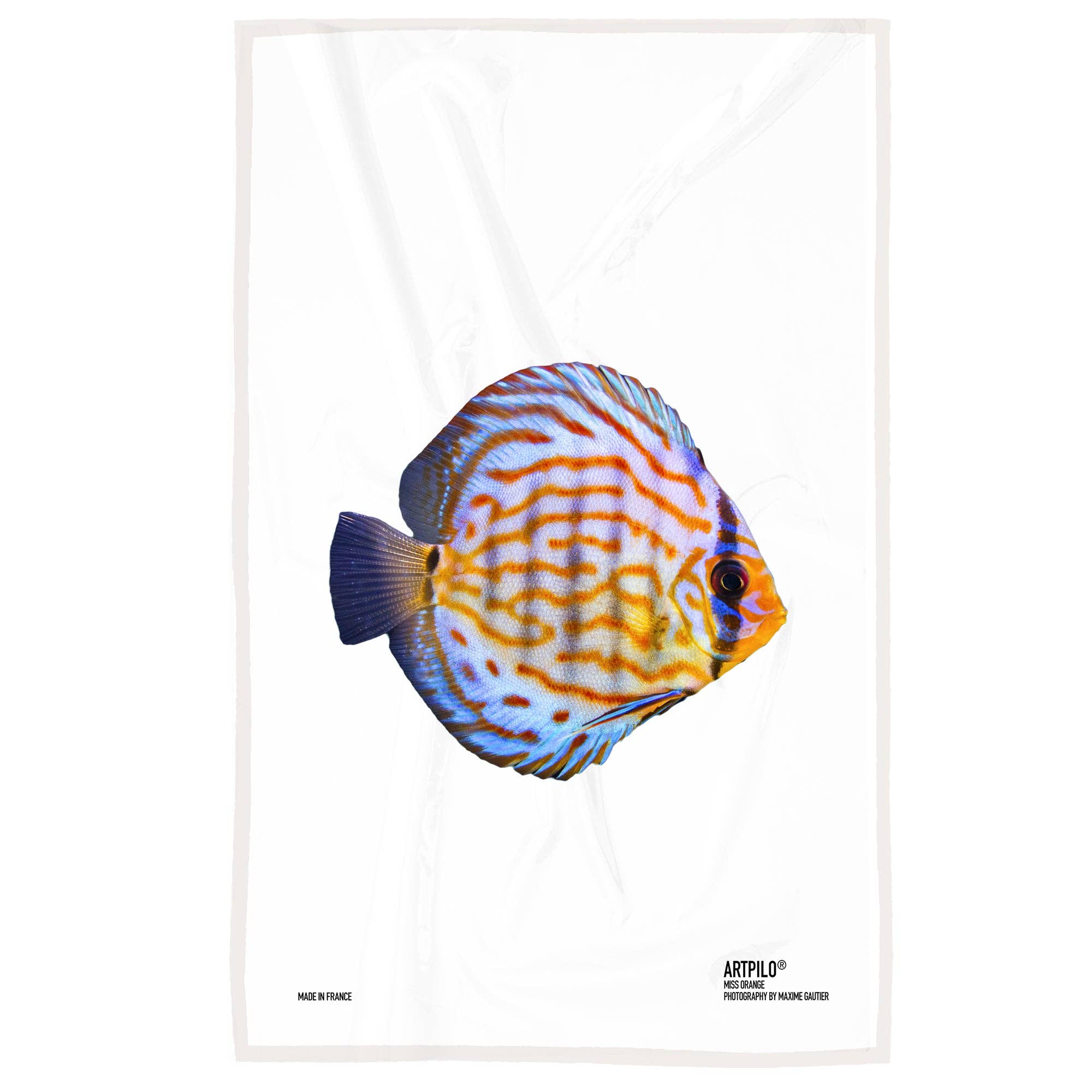 Artpilo - Vente Torchons - Torchon Miss Orange0