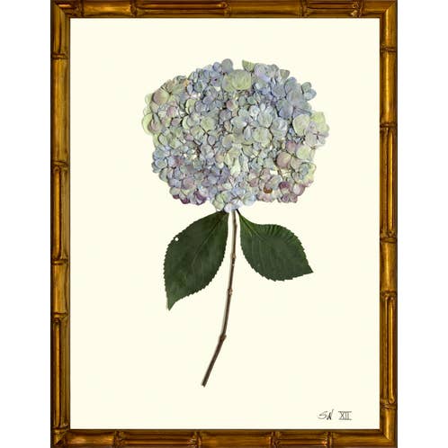 Homegrown Art Co - Wholesale Art Print - Mosaic Violet Pressed Hydrangea XII - Framed Botanical Art Print4