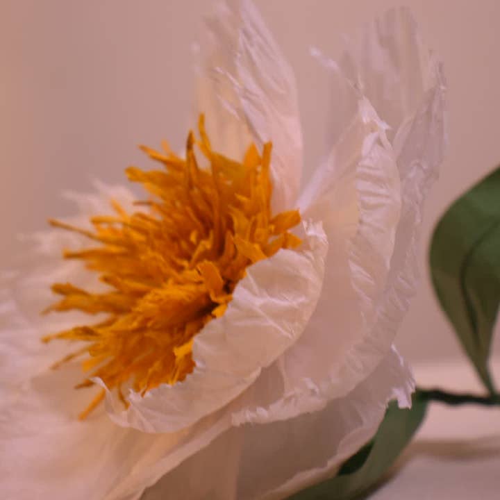 Beautiful Things By Bec – Engroshandel Kunstige blomster – Hvidbog Pæoner, Kunstige Pæoner, Efterår Blomster3