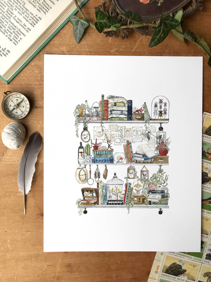 The Biologist's Shelves Giclée Print for wholesale by Lizzy Gass