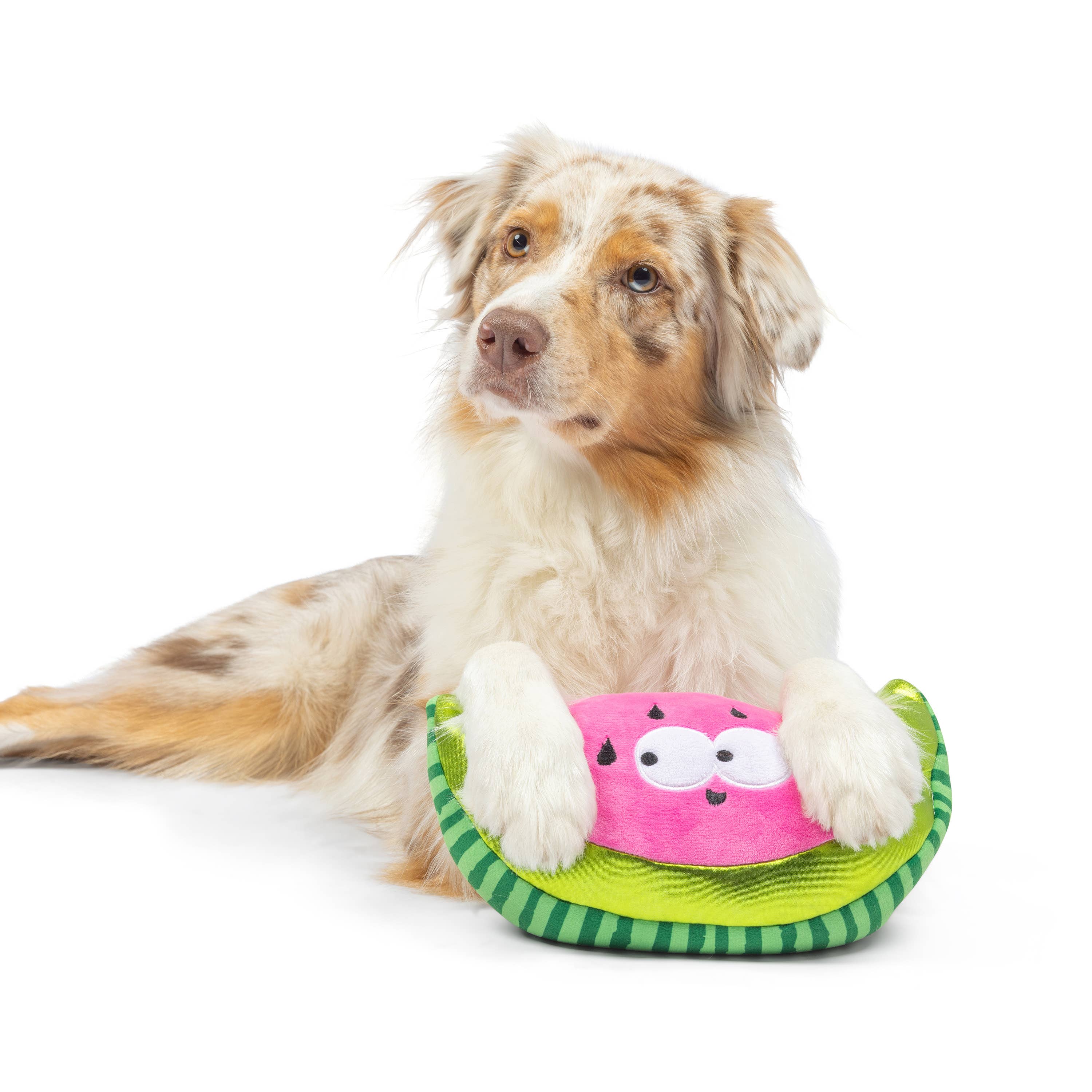 Huxley & Kent – wholesale Pet plush toy – Dog – Fetchies® Walter Melon Dog Toy3