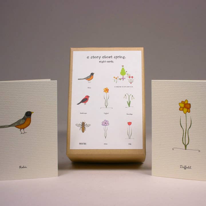A Story About Spring-Boxed Enclosure Cards for wholesale by Beth Mueller