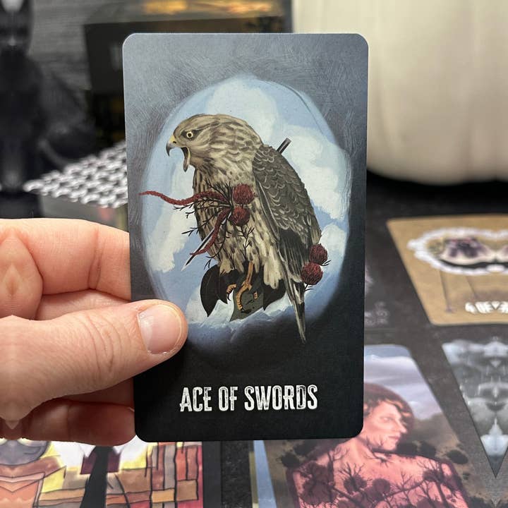 Killerpancake Illustration - Wholesale Tarot/Oracle Card - HAUNTED: A Cursed Appalachian Tarot Deck7