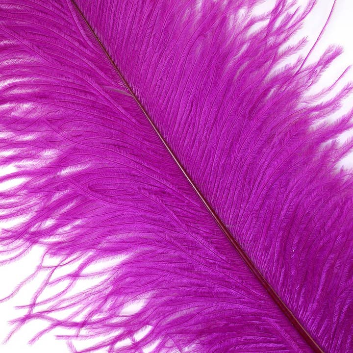 Large Ostrich Feathers - 17"+ Drabs - Very Berry for wholesale by Zucker Feather Products