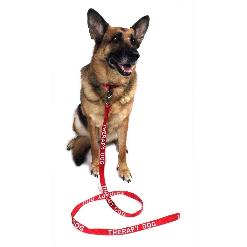 Dogline - Wholesale Pet Leash - Dog - Reflective Nylon Leash4