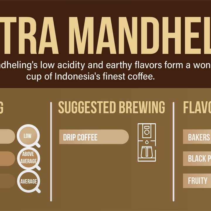 Java Doro - Wholesale Coffee Beans - Sumatra Mandheling2