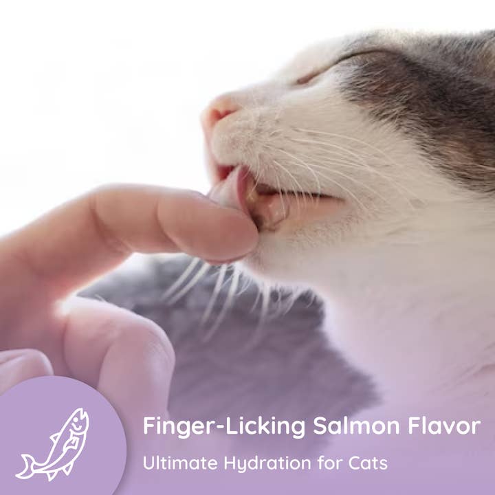 Petralyte - Wholesale Pet Supplement - Cat - Cat Electrolyte and Joint Supplement | Salmon Lovers