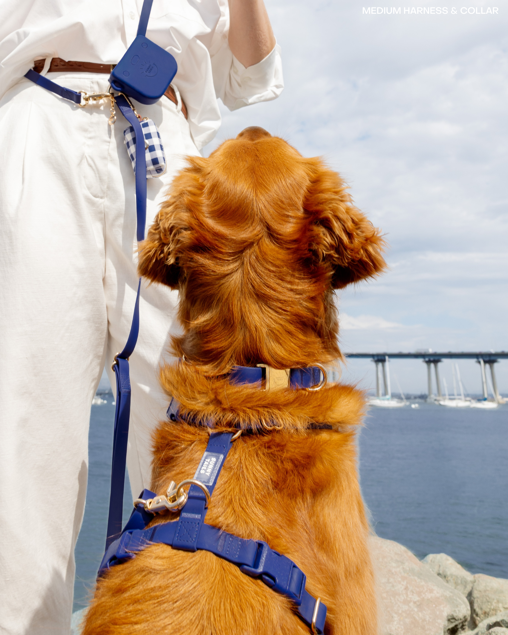 SUNNY TAILS - Wholesale Pet Harness - Dog - Signature Navy Cloud Lite Dog Harness8