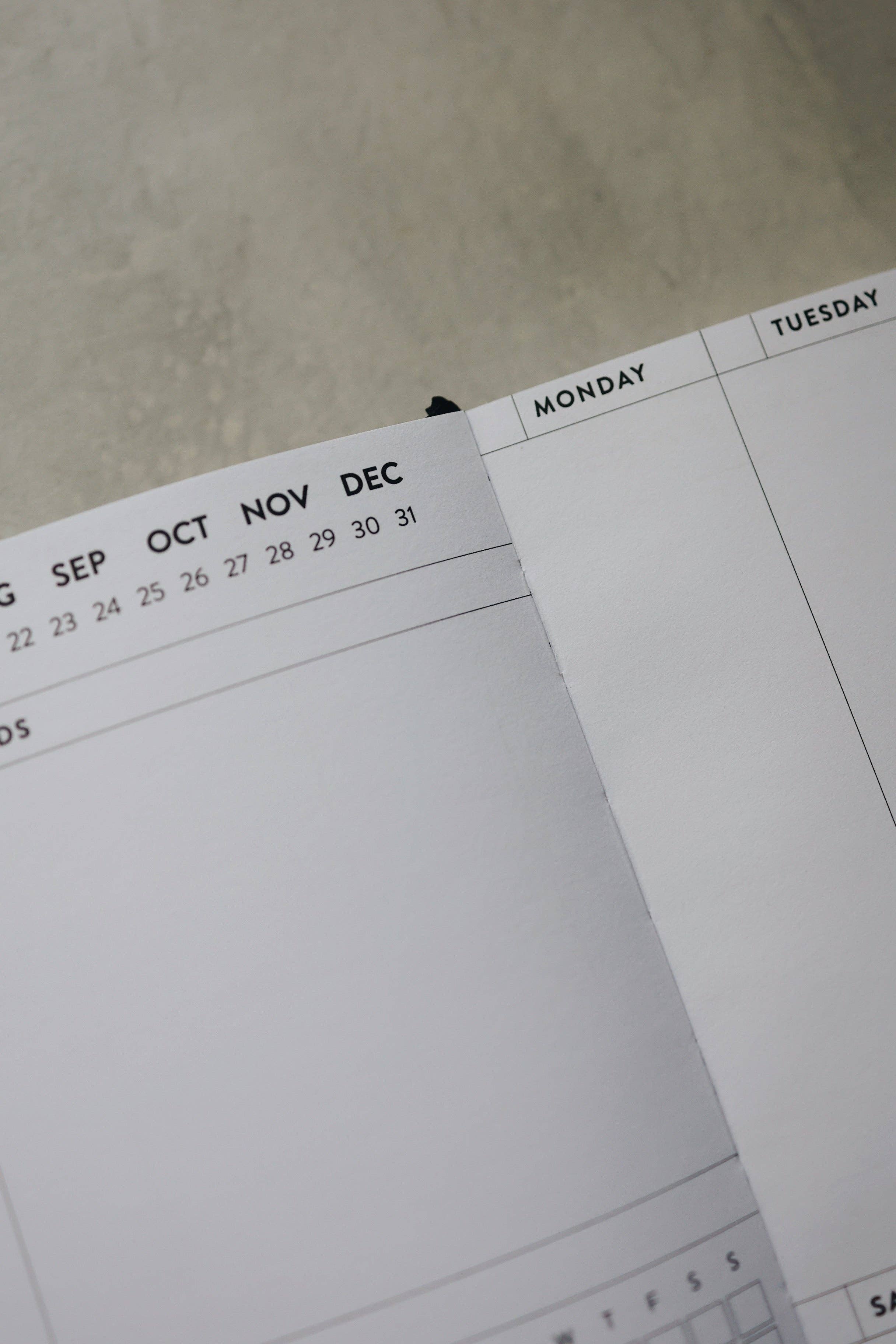 Rad & Happy - Wholesale Planner - 8x10 Undated Planner - Stars Edition10