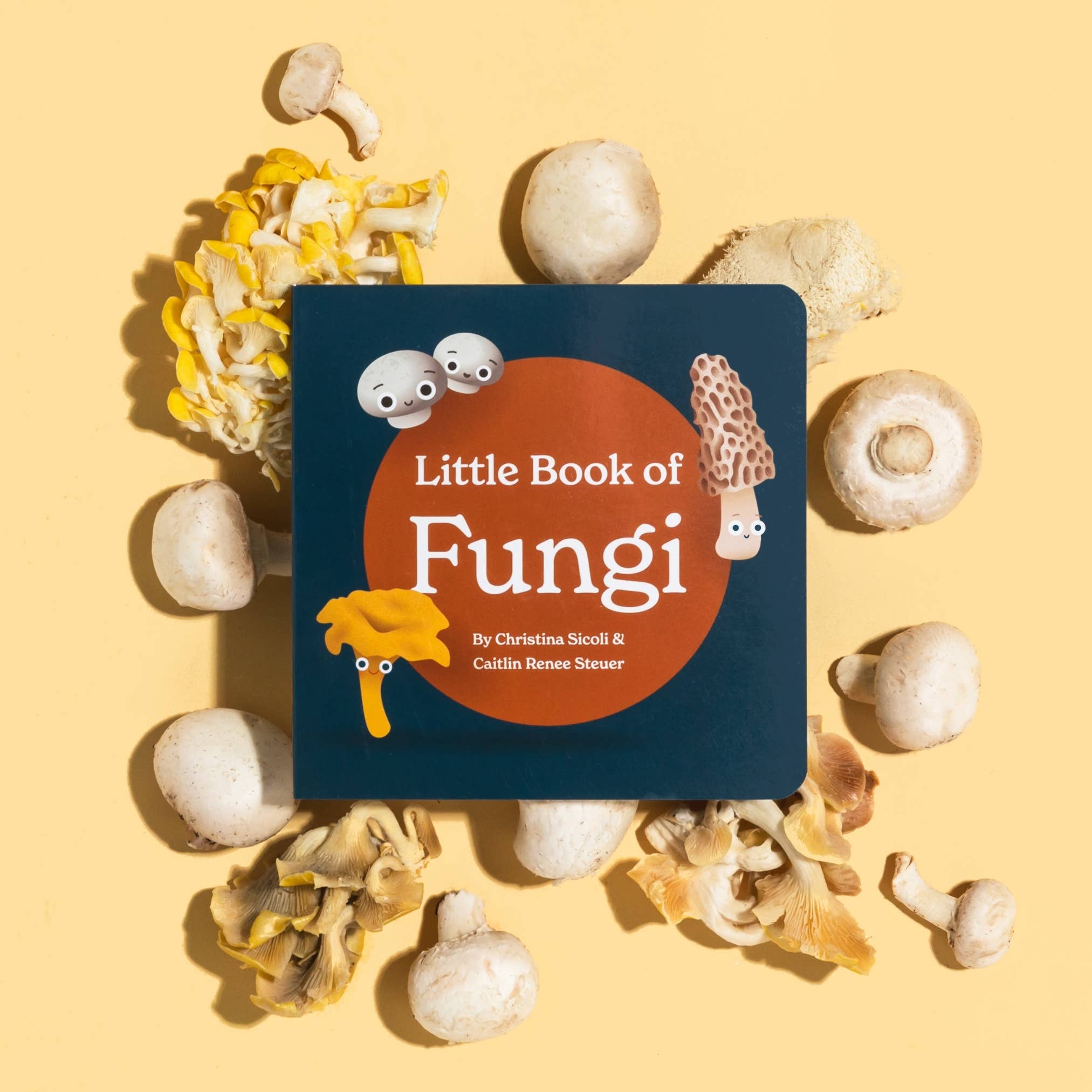 Chunky Deli - Wholesale Baby & Toddler Book (0-2) - Little Book of Fungi5