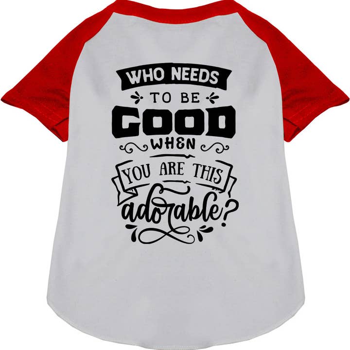 Who Needs to be Good? Pet Raglan Shirt for wholesale by As You Wish Apparel