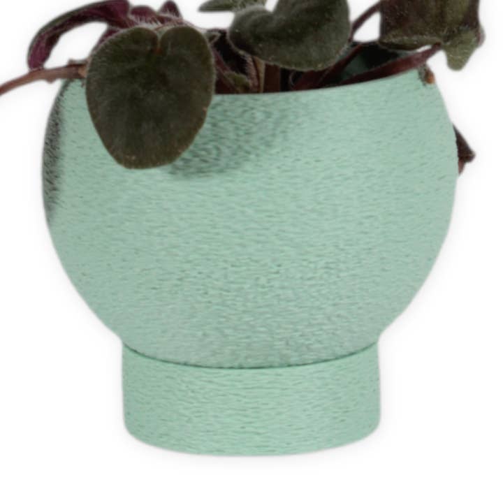 Leafprints.3d - Wholesale Plant Pot - The Petal – 2 Inch Planter with Drip Tray14