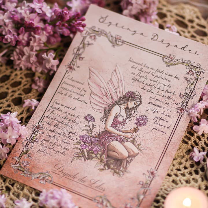 Lilac Dryad and other Purchase Wholesale x tract fahrrad. Free Returns & Net 60 Terms on Faire trending on Faire.