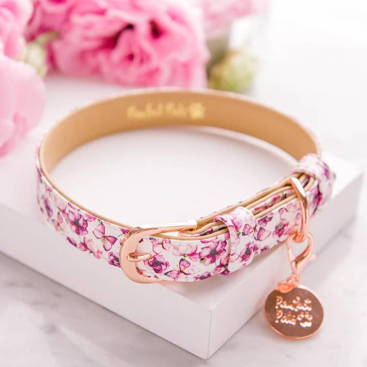 You Give me Butterflies - Dog Collar for wholesale by Pawfect Pals