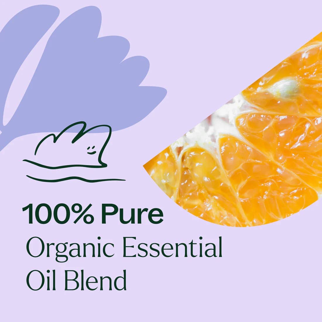 Plant Therapy - Wholesale Essential Oil - Organic Relax Essential Oil Blend 10 mL4