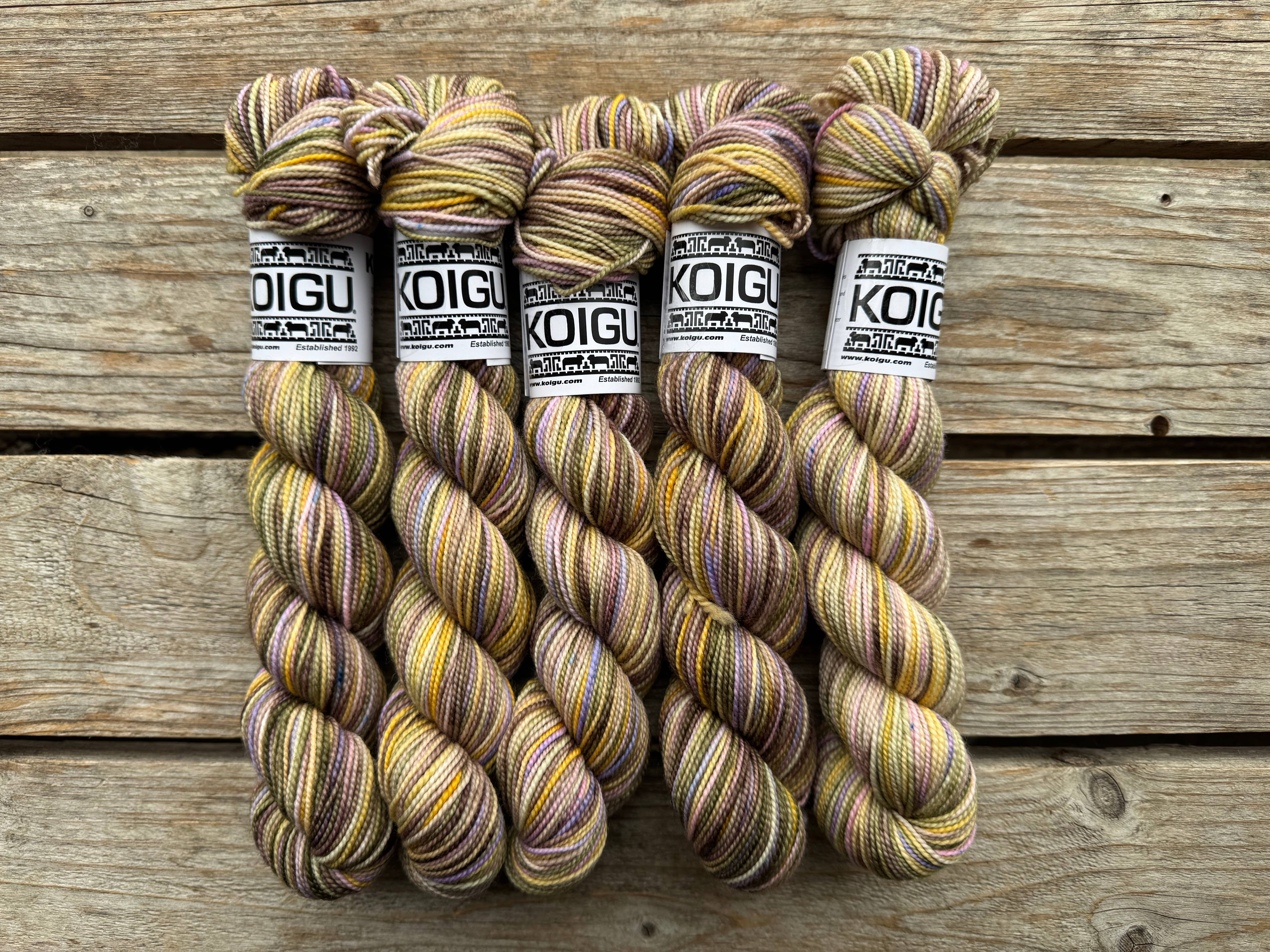Koigu Wool Designs – wholesale Yarn – Heritage Palette Series KPPPM1