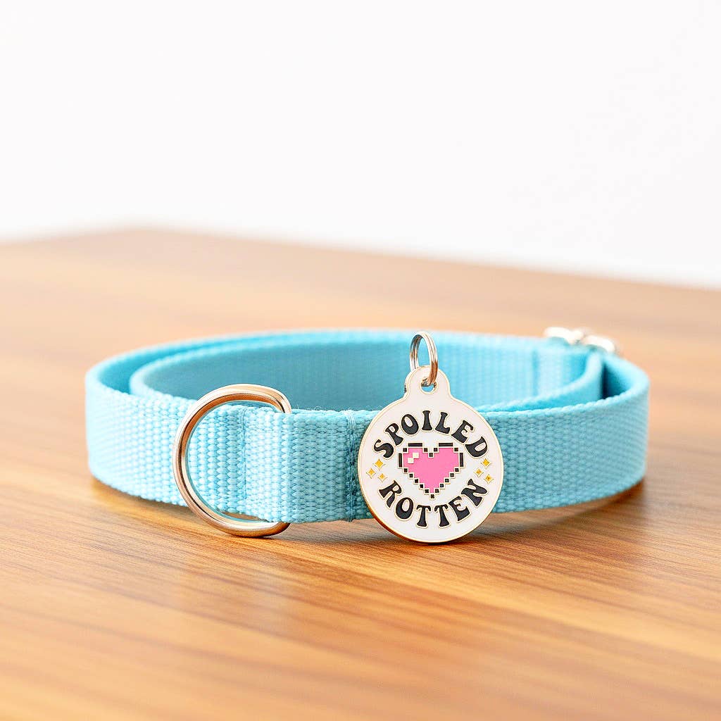 Bad Tags – wholesale Pet identification tag – Cat/dog – Enamel Dog Tag with Scannable ID - Spoiled Rotten 4