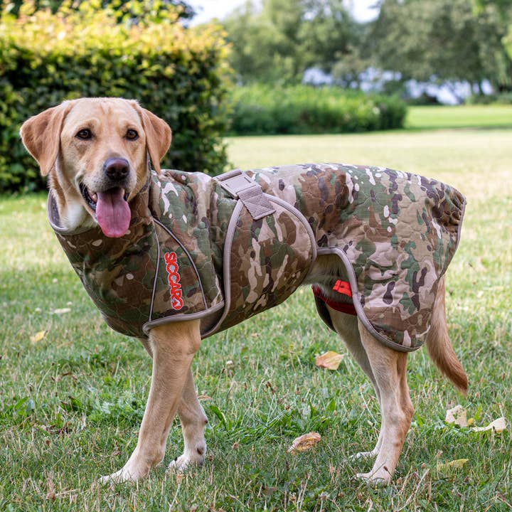 Spirit 2.0 Water-Repellent Dog Coat for wholesale by Siccaro