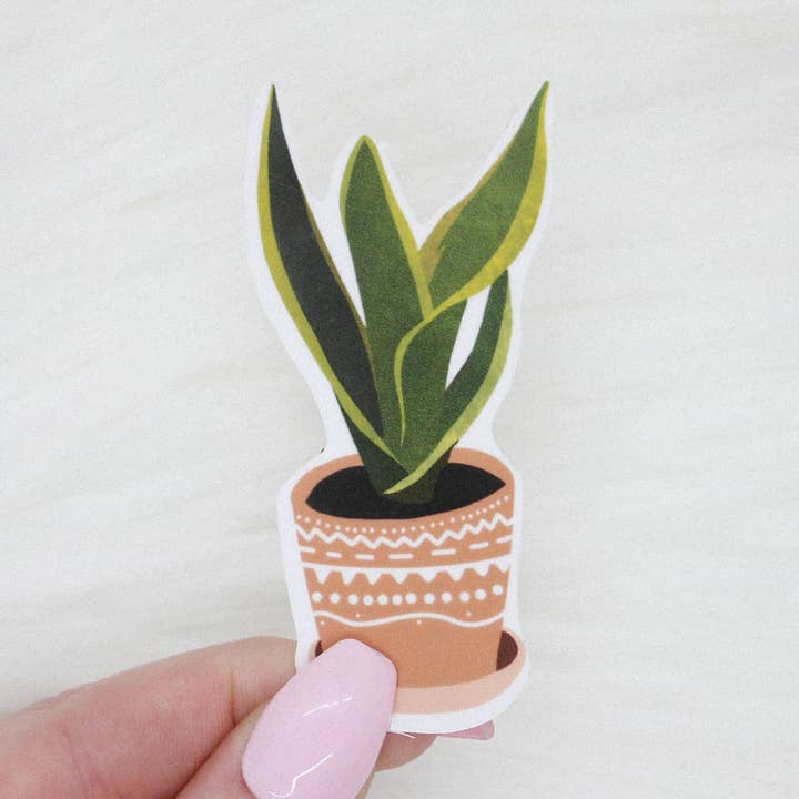 Orm Växt Dek för wholesale av Shop Katherine Marie