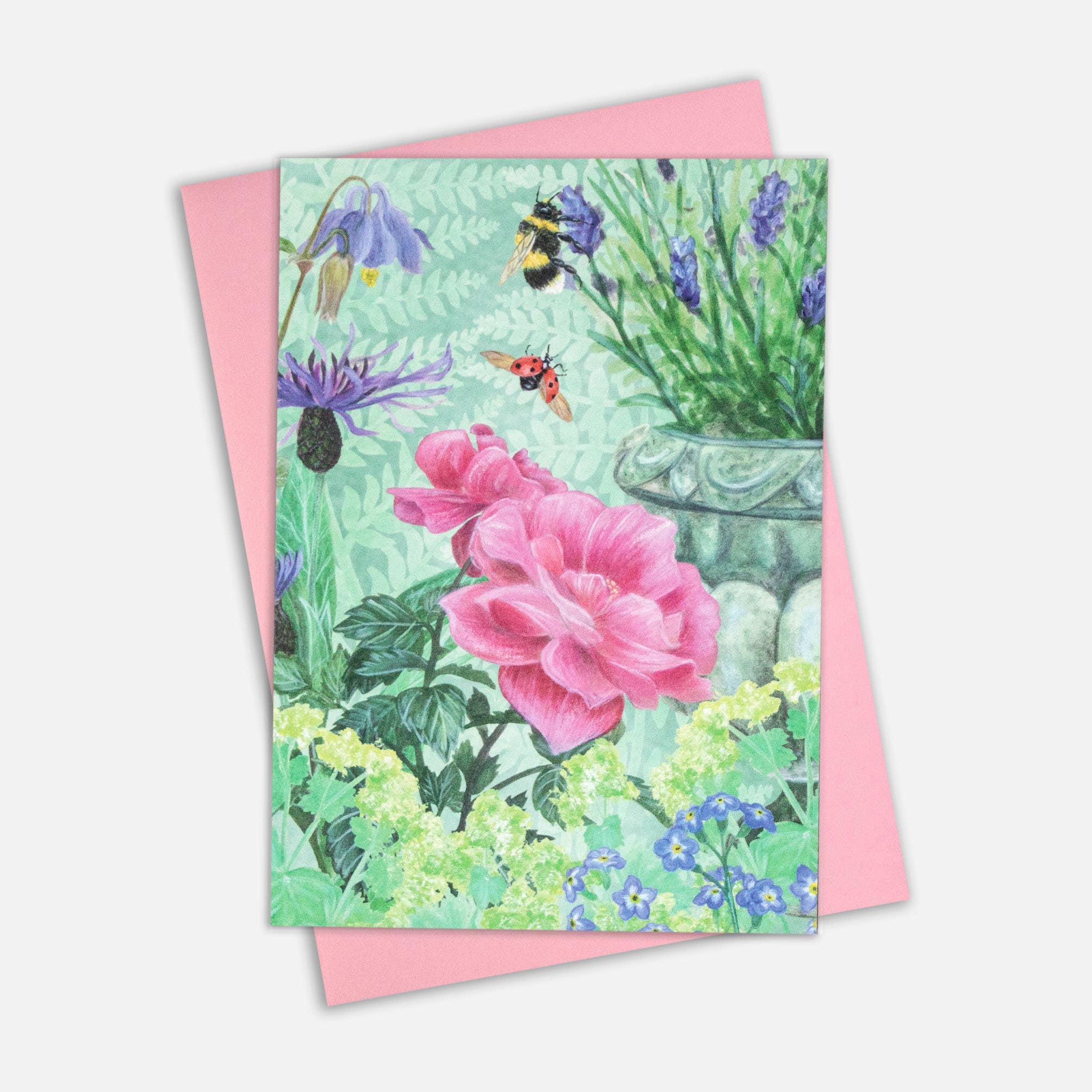AMPellegrini Art & Design - Wholesale Everyday Greeting Card - Garden Rose card / Greeting card with pink rose illustration2