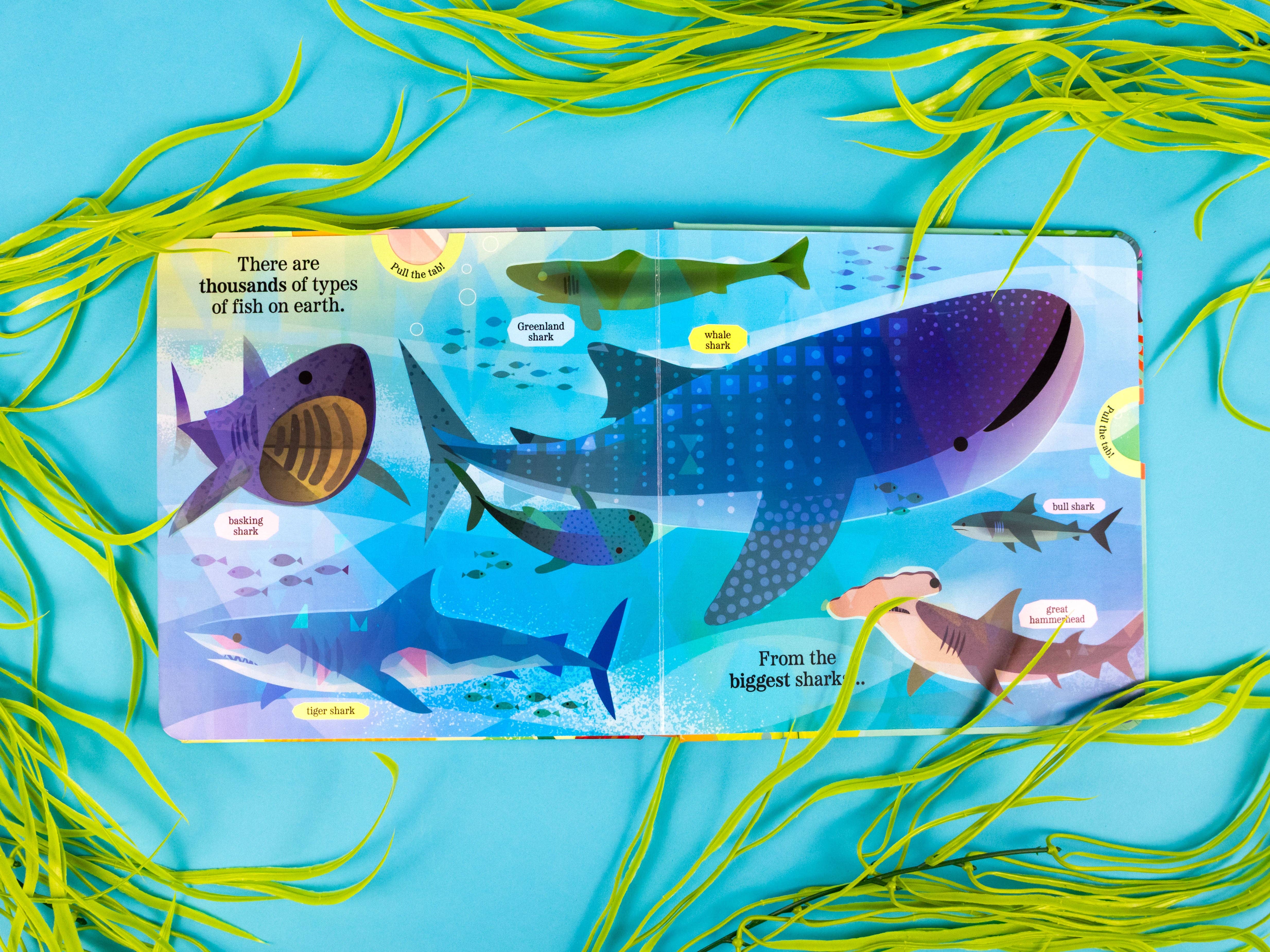 Robert Frederick Ltd – wholesale Pre-school book (3–5) – Fantastic Fish - My Nature Pull-Tab Board Book2