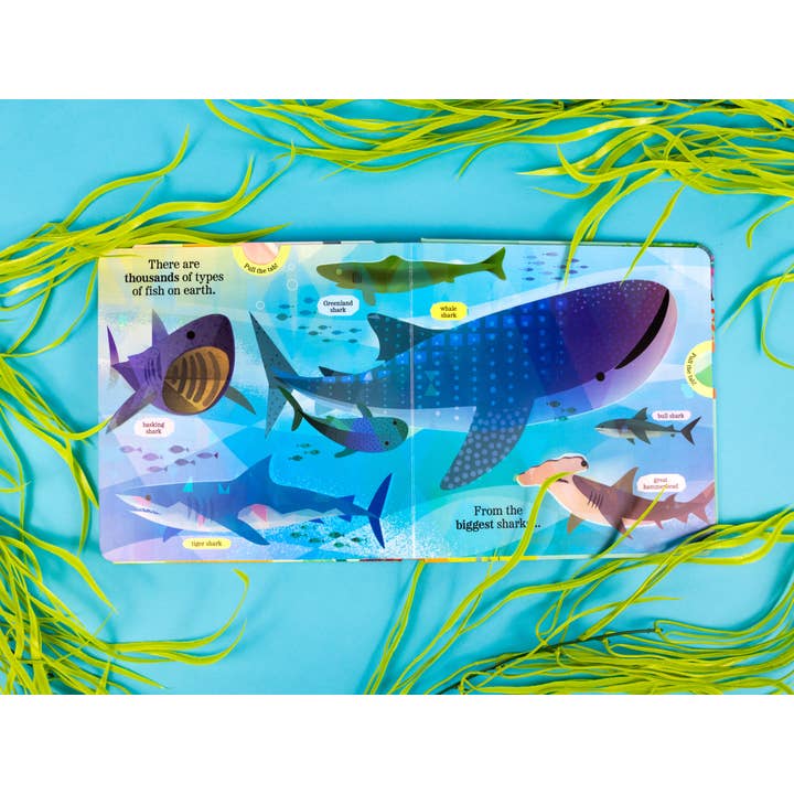 Robert Frederick Ltd – wholesale Pre-school book (3–5) – Fantastic Fish - My Nature Pull-Tab Board Book2
