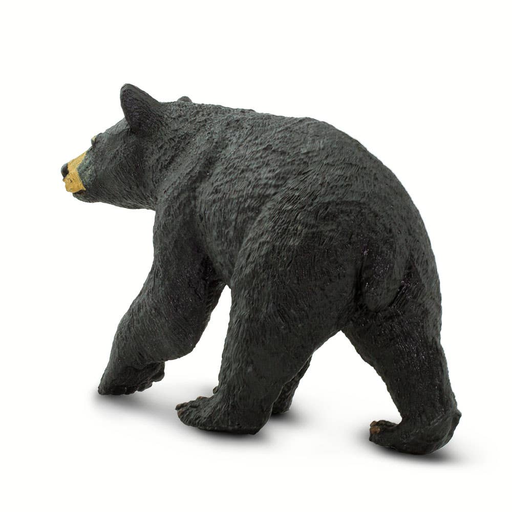 Safari Ltd. - Wholesale Decorative Figurine - Black Bear - 2735292
