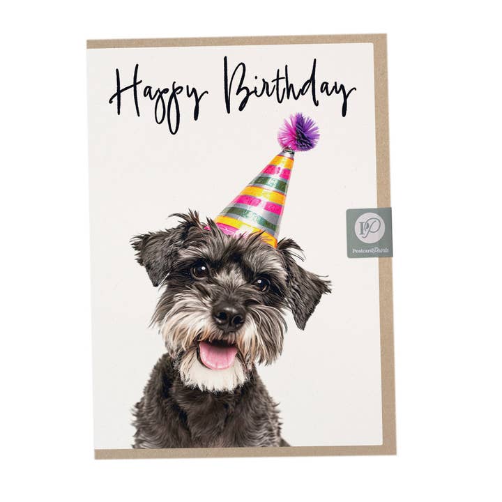 Funny Schnauzer Birthday Card for wholesale by Postcard Prints