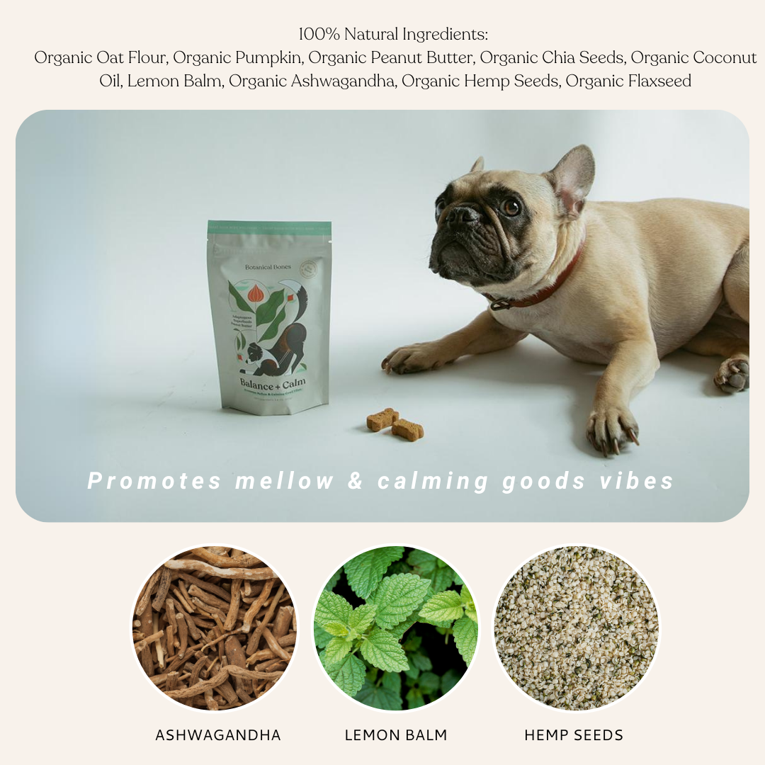 Botanical Bones - Wholesale Pet Treats - Dog - Balance + Calm Cookies - All Natural, Organic Dog Treats 5