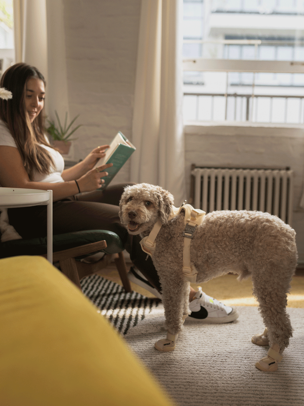 RIFRUF - Vente Bottines – chien - César 111