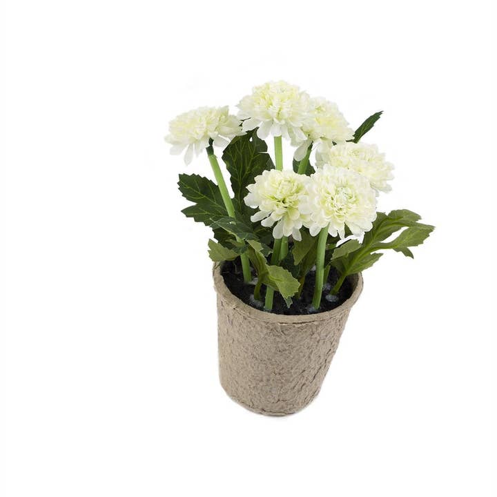 Closer2Nature – wholesale Artificial flowers – Artificial 18cm White Chrysanthemum Plant with Gift Box7