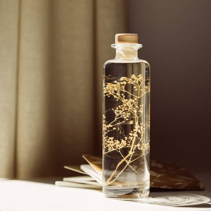 Theophile Berthon - Wholesale Live Plant - The Golden Gypsophila Herbarium - submerged plant2