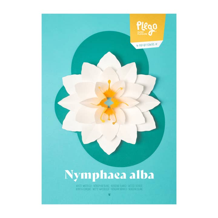Today is Art Day - Wholesale DIY Craft Kit - White Waterlily - Flower 3D Pop-Up Figure by Plego