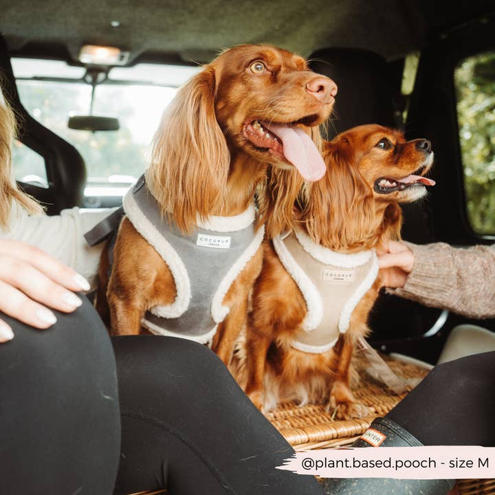 Cocopup London - Vendita all'ingrosso Pettorina - Cani - Pettorina da collo regolabile Nude Aviator19