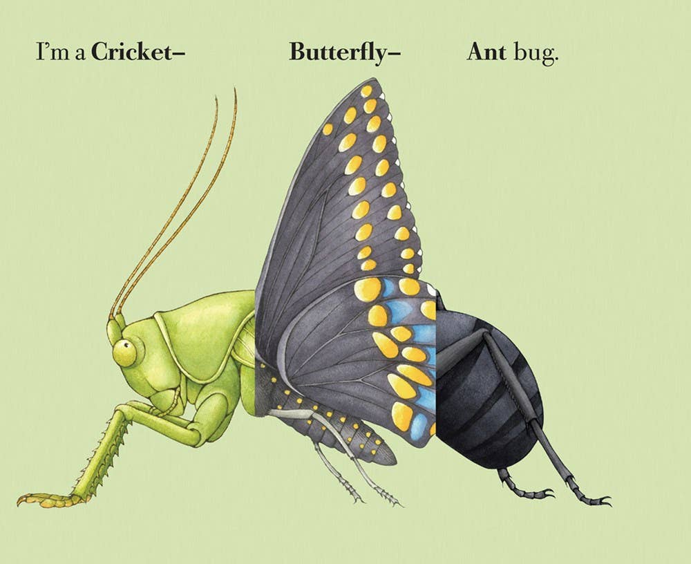 W. W. Norton - Wholesale Coloring & Activity Book - Kids & Baby - Build-A-Bug5