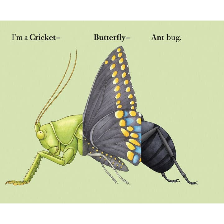 W. W. Norton - Wholesale Coloring & Activity Book - Kids & Baby - Build-A-Bug5