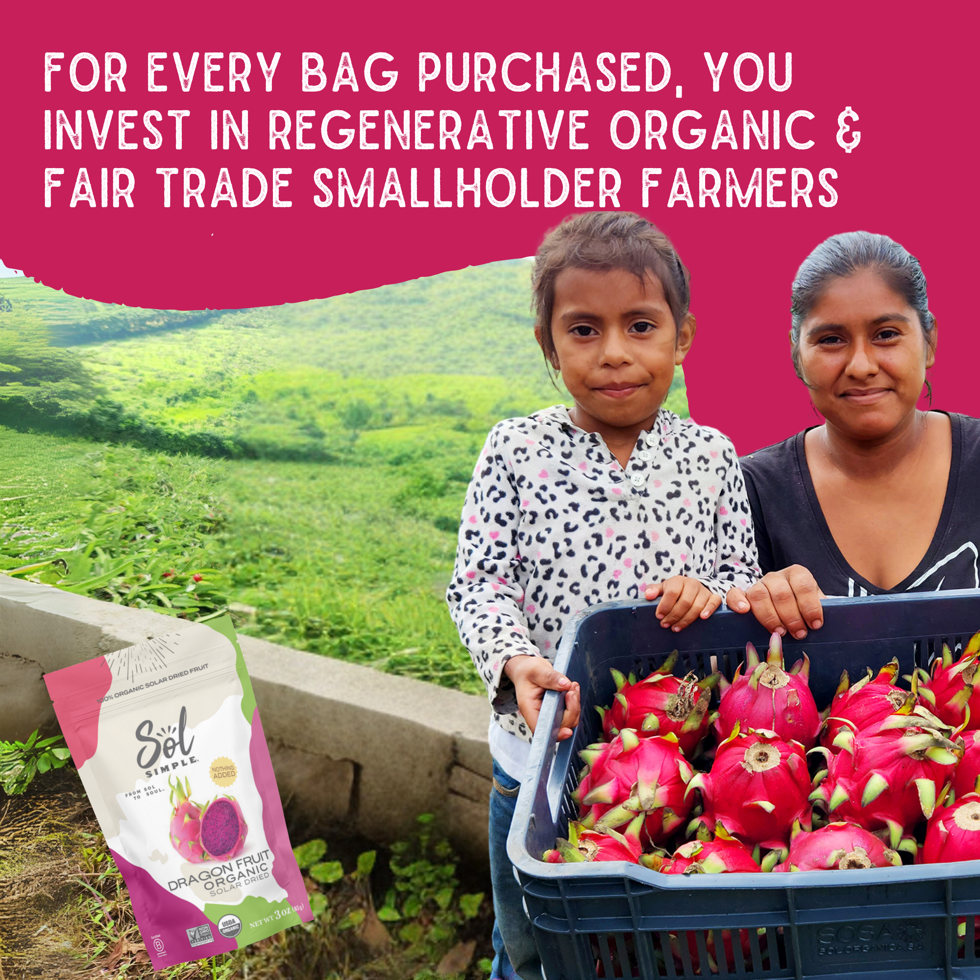 Sol Simple - Wholesale Dried/Dehydrated Fruit - Organic Solar Dried Dragon Fruit5